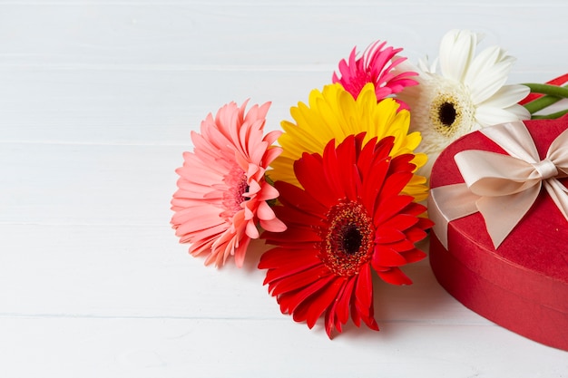 Alta vista de flores de gerbera y regalo de chocolate