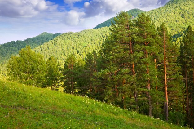 Altai montañas. Siberia