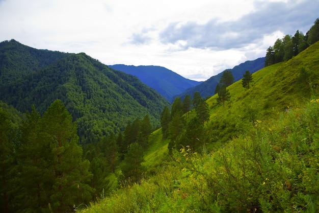 Foto gratuita altai montañas