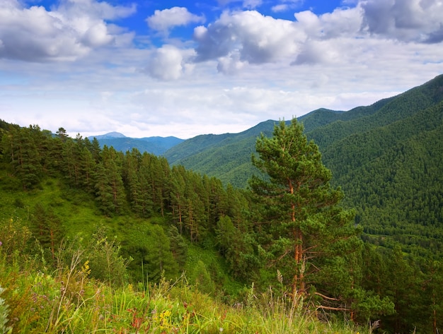 Altai montañas