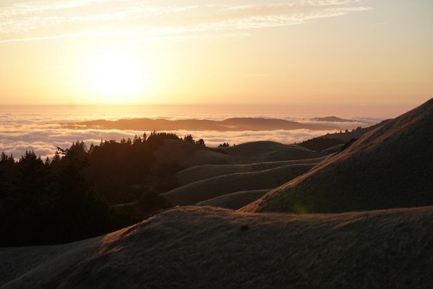 Altas colinas con bosque y un horizonte visible al atardecer en el monte. Tam en Marin, CA