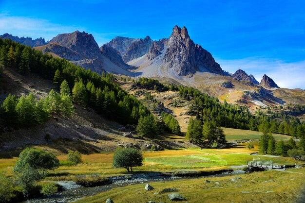 Altas montañas y colinas cubiertas de bosques