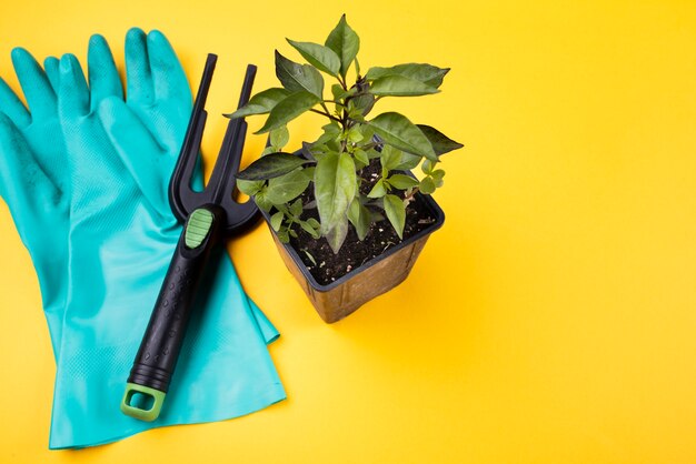 Alto ángulo de maceta y tenedor de jardinería