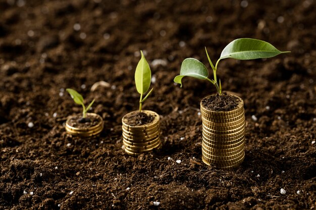 Alto ángulo de monedas apiladas sobre tierra con plantas