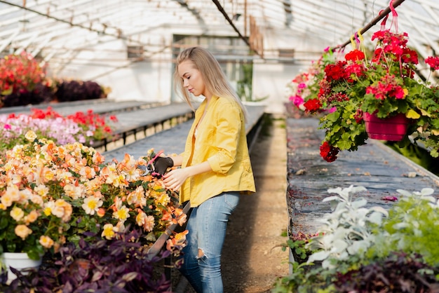 Alto ángulo mujer llevando flores hojas