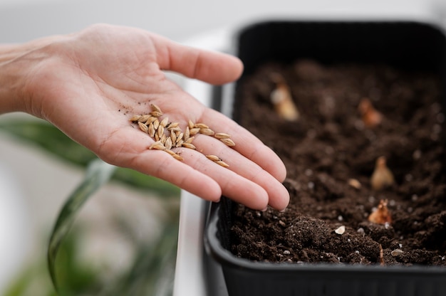 Alto ángulo de mujer sosteniendo semillas para plantar con maceta