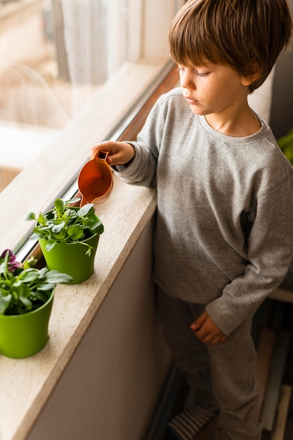 Foto gratuita alto ángulo de niño regando las plantas por la ventana