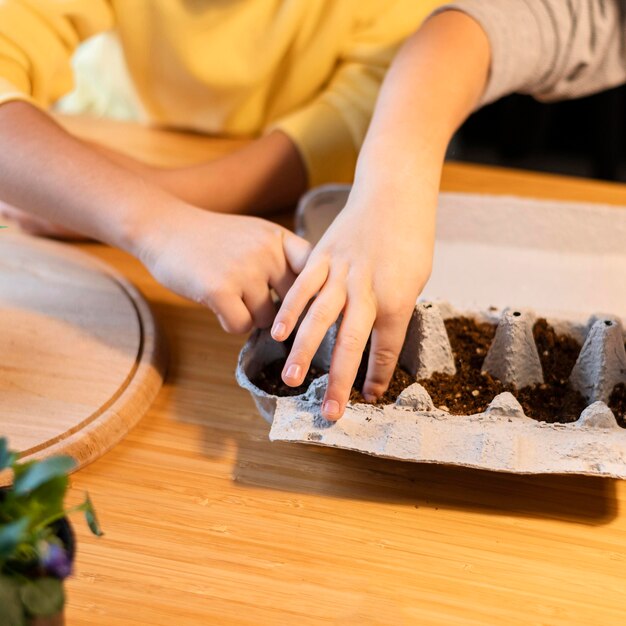 Alto ángulo de niños pequeños plantando semillas en casa