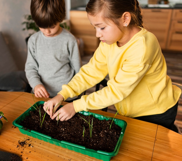 Alto ángulo de niños plantando brotes en casa.