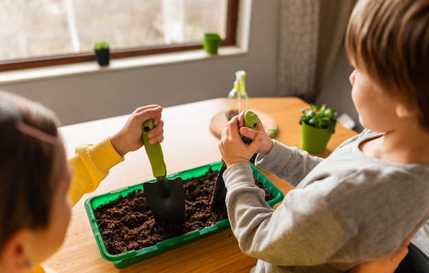 Alto ángulo de niños regando cultivos en casa