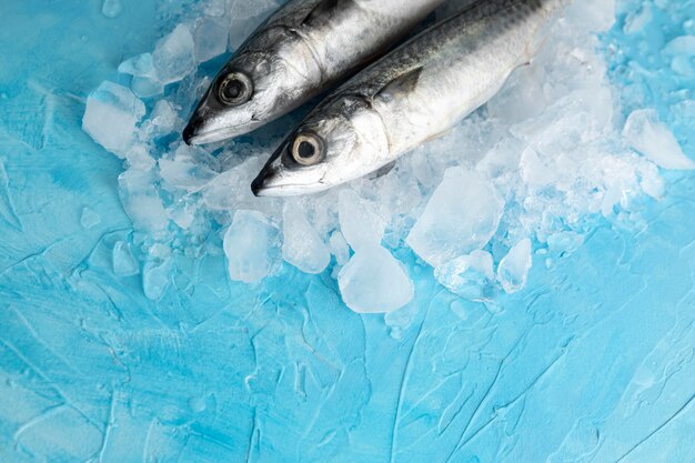 Alto ángulo de par de peces con hielo