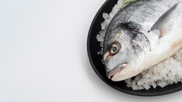 Alto ángulo de pescado crudo en cubitos de hielo