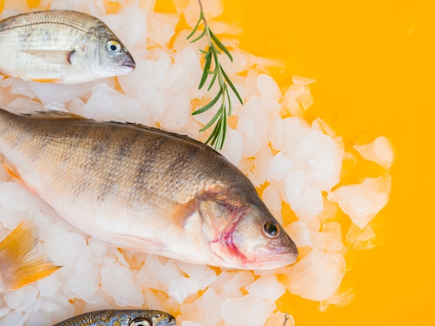 Alto ángulo de pescado fresco en la mesa