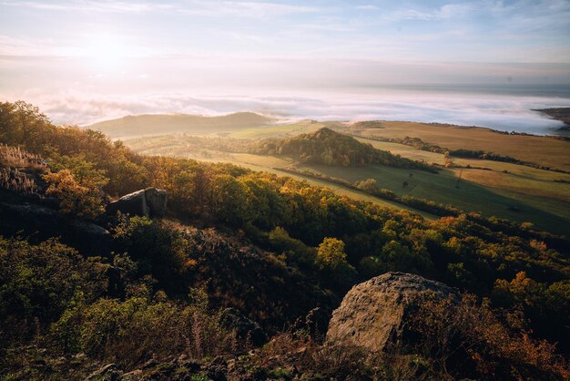 Alto de Bohemia Central