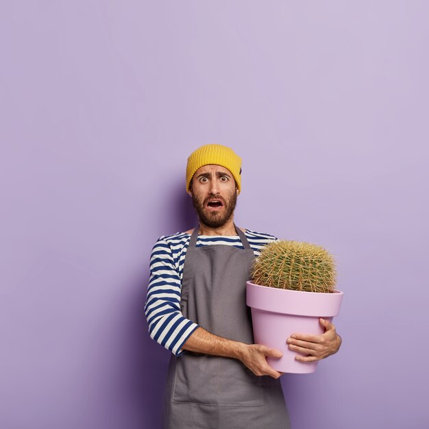 Ama de llaves confundida se ocupa de la planta en maceta, sostiene un gran cactus en un recipiente púrpura