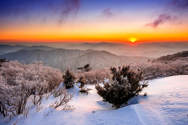 Amanecer en las montañas Deogyusan cubiertas de nieve en invierno, Corea del Sur