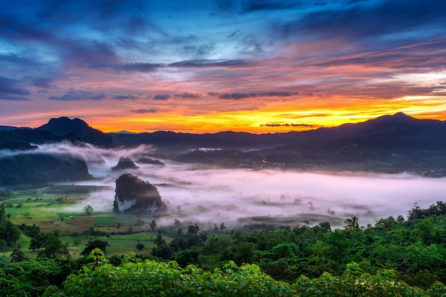 Amanecer en la niebla de la mañana en Phu Lang Ka, Phayao en Tailandia.