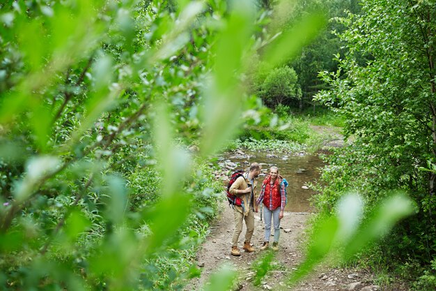 Amantes de la naturaleza