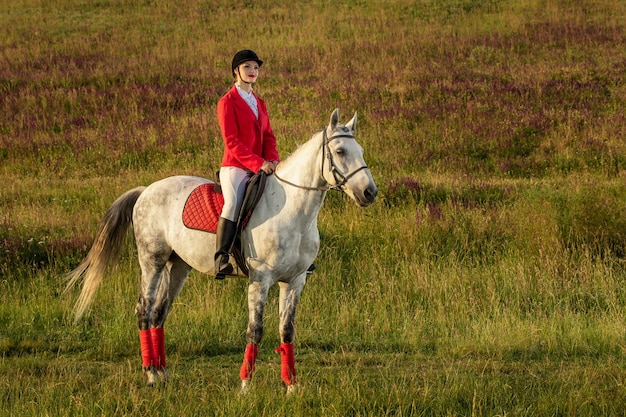 La amazona de un caballo rojo. equitación. las carreras de caballos. jinete a caballo.