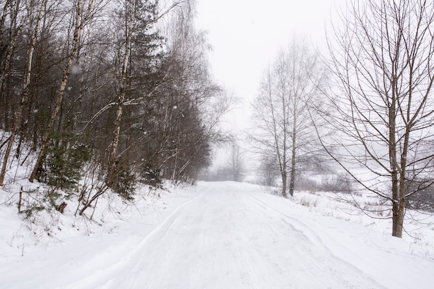 Ambiente de invierno cubierto de nieve