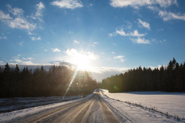 Ambiente de invierno cubierto de nieve