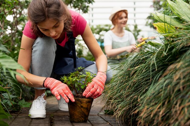 Amigos cuidando sus plantas en invernadero.