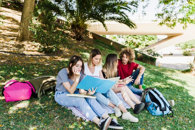 Amigos estudiando y hablando en el parque