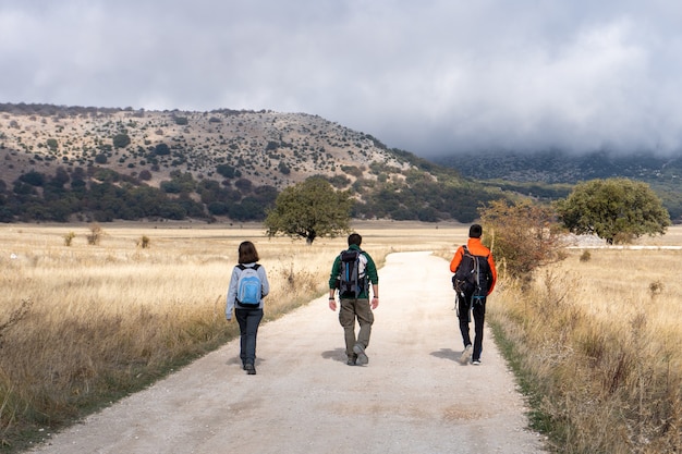 Amigos haciendo viaje en el campo