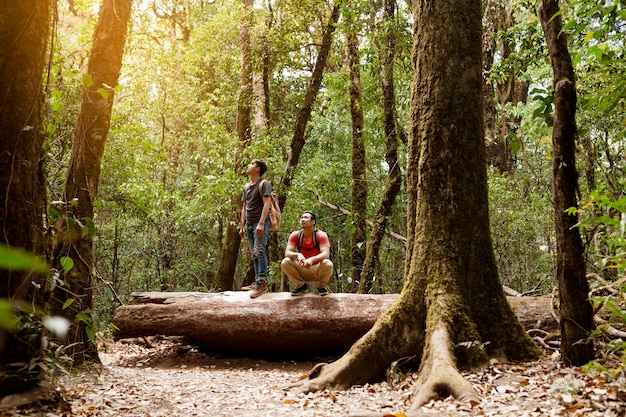 Amigos mochileros en bosque