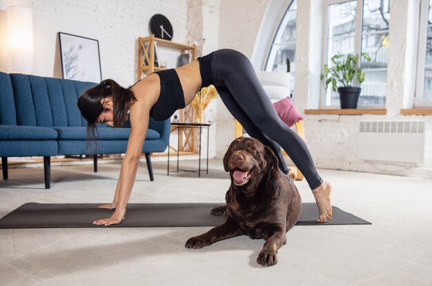 Amigos. Mujer joven trabajando en casa, haciendo ejercicios de yoga con el perro. Hermosa mujer estirando, practicando. Bienestar, bienestar, salud, salud mental, concepto de estilo de vida.