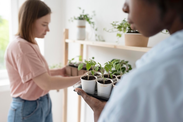 Amigos que tienen un jardín sostenible en el interior.