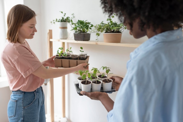 Foto gratuita amigos que tienen un jardín sostenible en el interior.