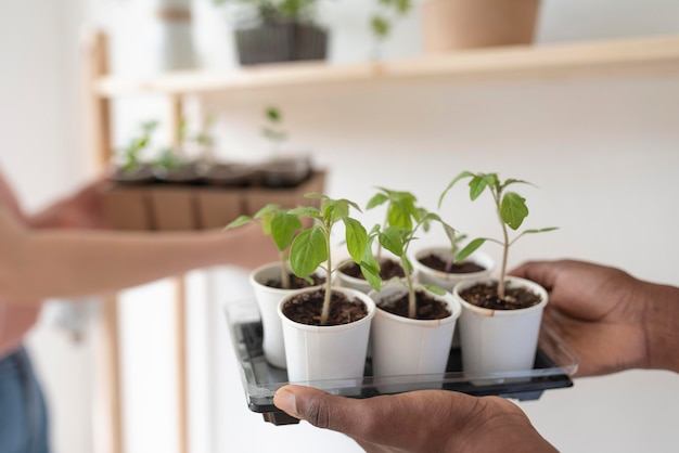 Foto gratuita amigos que tienen un jardín sostenible en el interior.