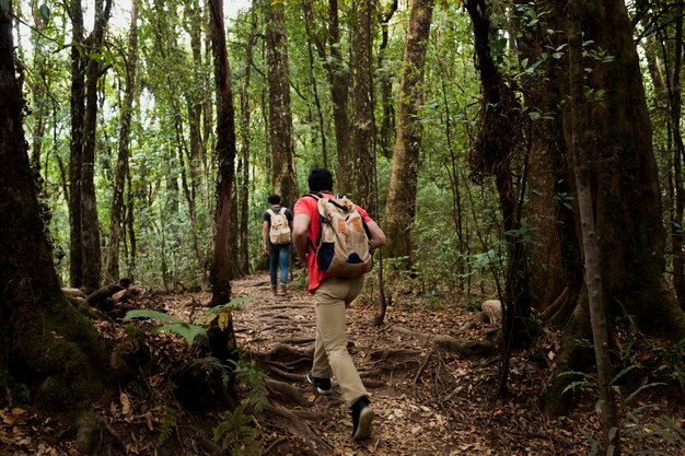 Amigos senderistas en un bosque