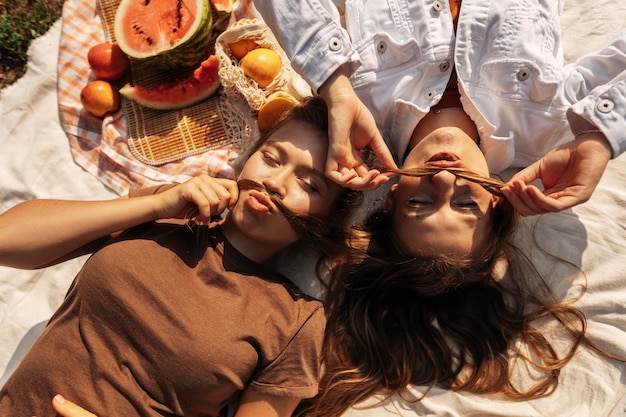 Amigos de vista superior relajarse mientras hace un picnic