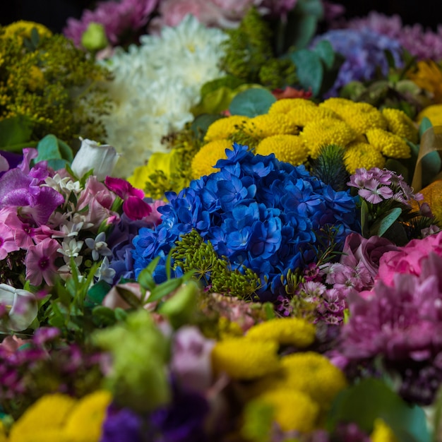 Amplia selección de flores naturales en una floristería.