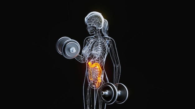 Foto gratuita anatomía de una mujer de rayos x haciendo rizos de bíceps