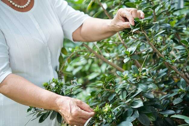 Anciana irreconocible de pie junto a la planta verde en el jardín y tocar las hojas