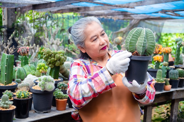 Anciana mirando la integridad del árbol de cactus