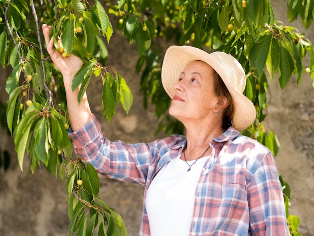 Foto gratuita anciana tocando las hojas de un árbol