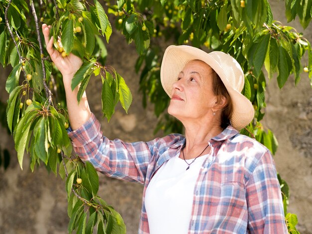 Anciana tocando las hojas de un árbol