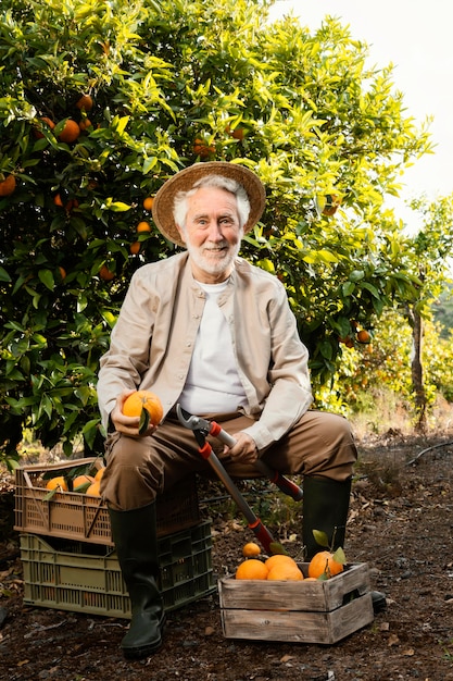 Anciano con naranjas frescas