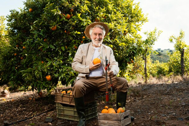 Anciano con naranjas frescas