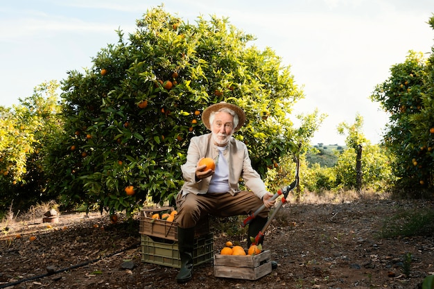 Anciano con naranjas frescas