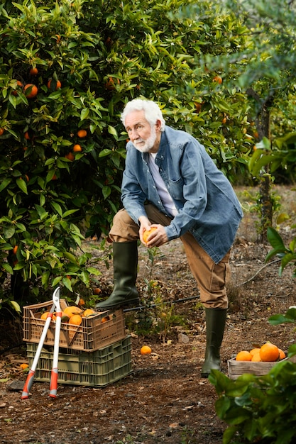 Anciano de pie junto a sus naranjos