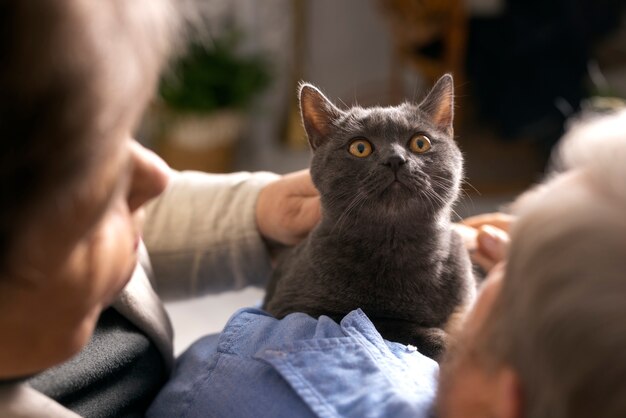 Foto gratuita ancianos de alto ángulo con gato