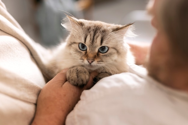 Ancianos de alto ángulo con gato