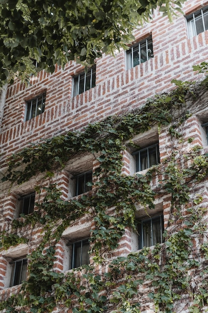 Foto gratuita Ángulo bajo de edificio en la ciudad cubierto de enredaderas