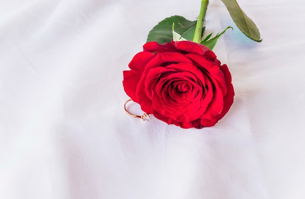 Foto gratuita anillo de boda con rosa roja en mesa de luz.