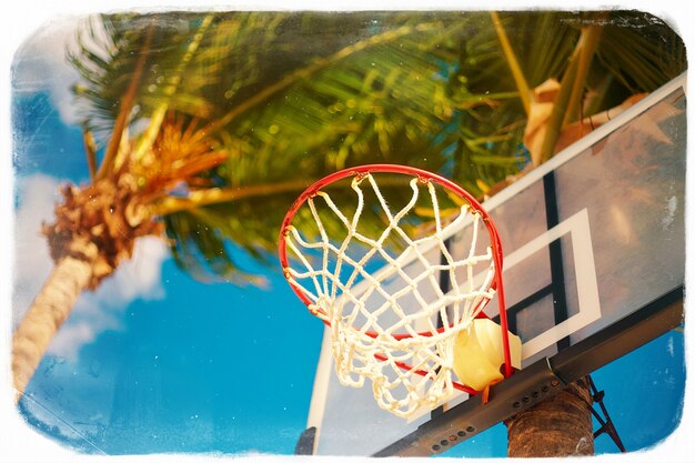 Anillo de tablero de baloncesto en día de verano en cielo azul y palmera verde en estilo retro
